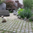 ambienti_vrt_Ljutomer6