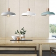 0457efedd603f33daec21ba39f6f84c1--light-pendant-copper-pendant-lights