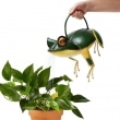 Frankie-the-Frog-Watering-Can