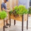 8586751_0198_standing-garden-elevated-bed-on-legs