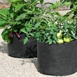 Greenhouse-Vegetable-Grow-Bag-Strawberry-Grow-Pot