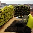 vegetables-on-the-balcony-creating-a-raised-bed-garden-0-955