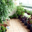 vegetables-on-the-balcony-creating-a-raised-bed-garden-4-955