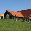 Leseno steklena hisa - Grajenscak, Slovenija