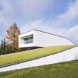 green-roofs-02