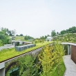 green-roofs-05