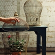 97a9941882ca46180713c7557d8b6162--decorative-bird-cages-metal-homes