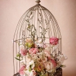enjoyable-design-ideas-birdcage-centerpiece-best-25-decor-on-pinterest-birdcages-wedding