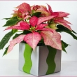 3dd3b06c6faacd375d225202a9aa7960--christmas-arrangements-christmas-centerpieces