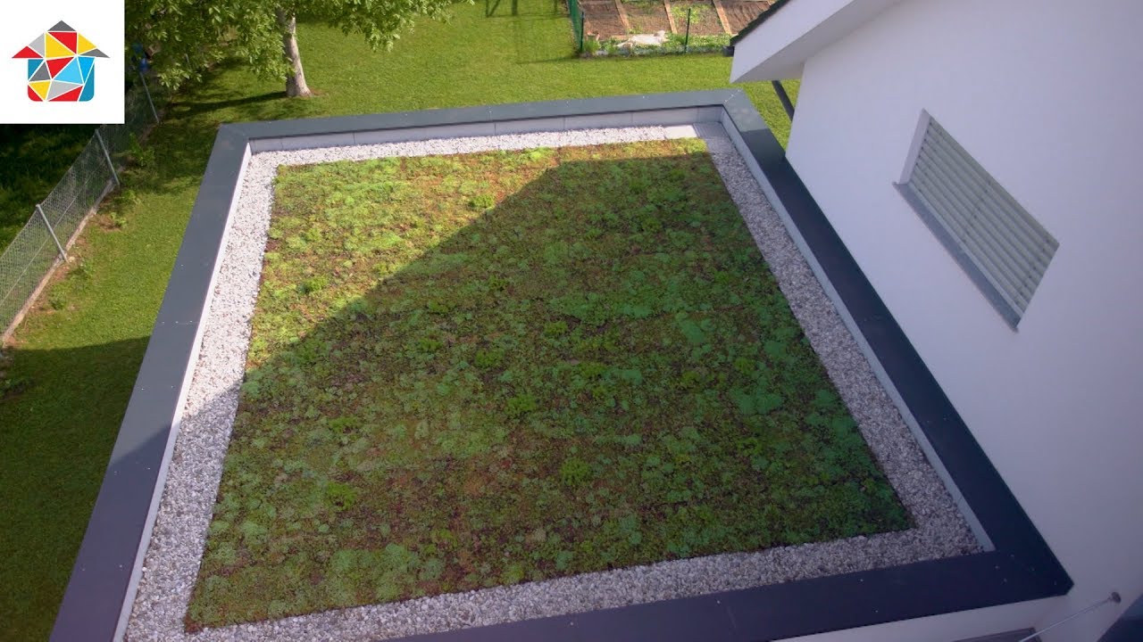 Vse, kar morate vedeti o zeleni strehi