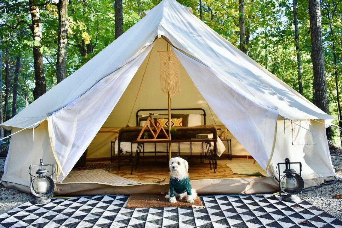 Glamping šotori za nepozabni dopust: Luksuzno kampiranje kar za hišo