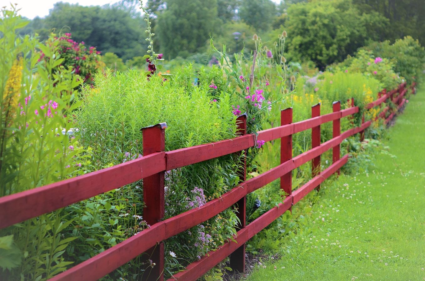 Vrtne ograje, ki zagotavljajo zasebnost