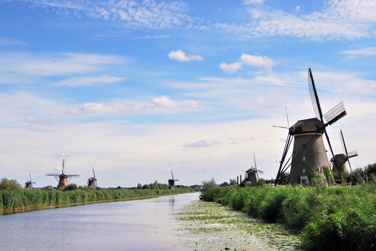 Nizozemska: kjer grmovnice in trajnice kipijo od življenja