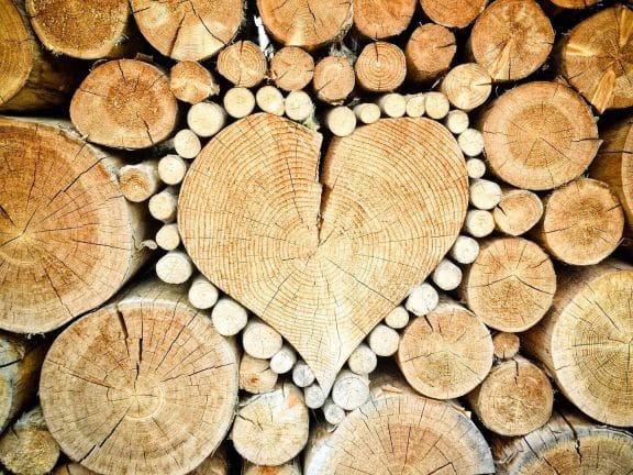 3. Dnevi slovenskega lesarstva v znamenju izzivov in priložnosti lesarske panoge