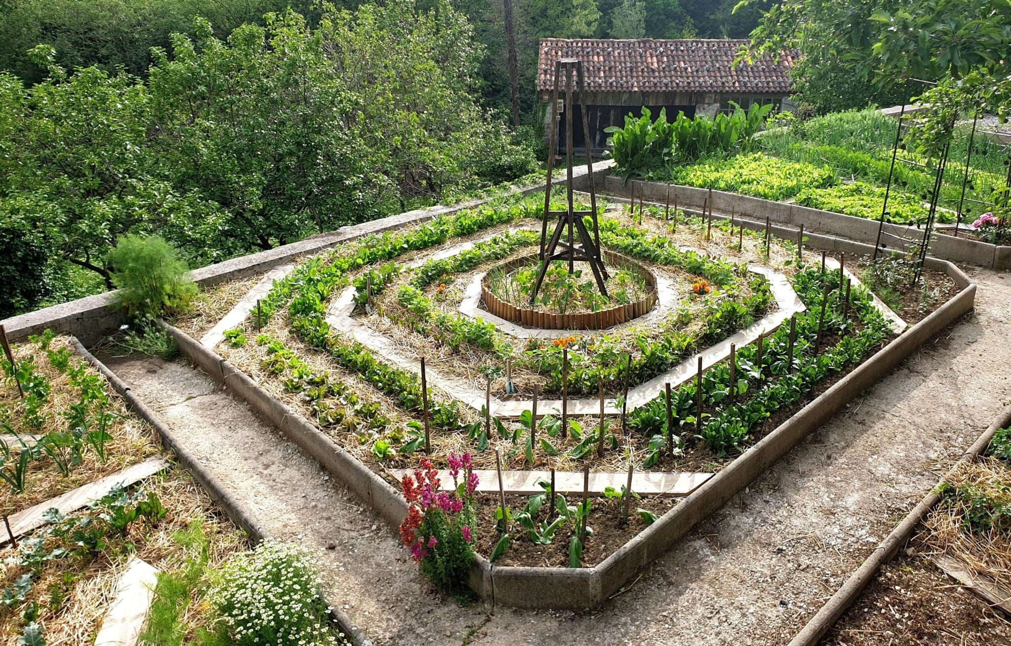 Barvita združba vrtnin in cvetja