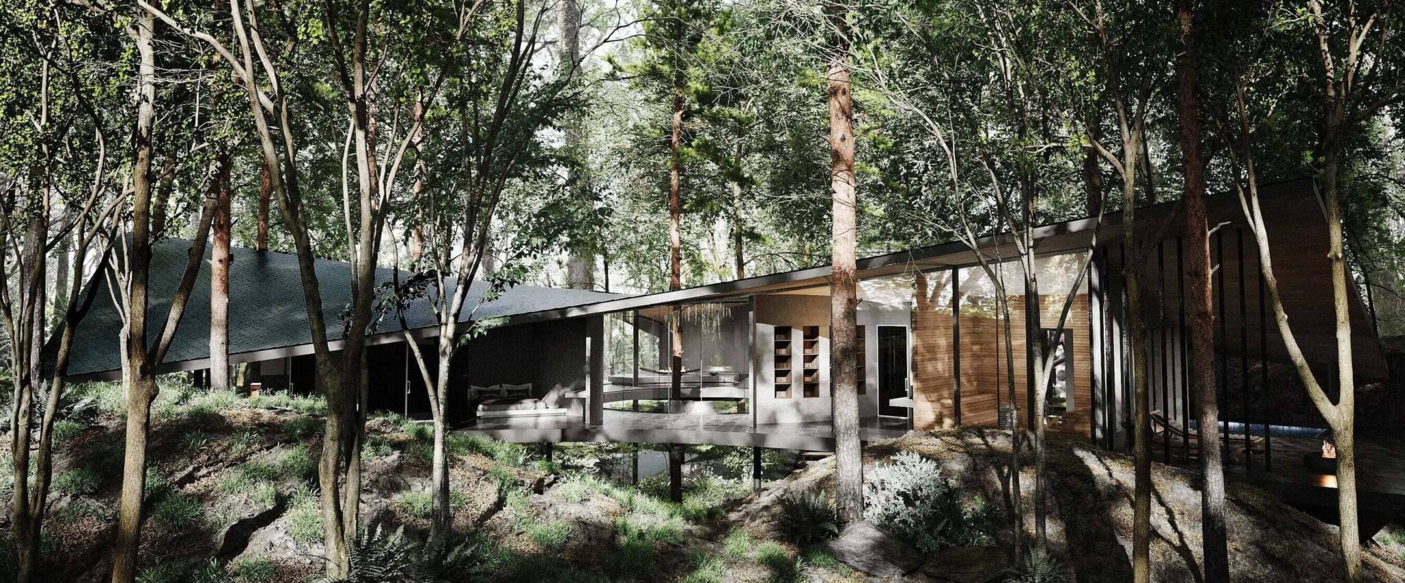 Forest Within: zatočišče v gozdovih Japonske