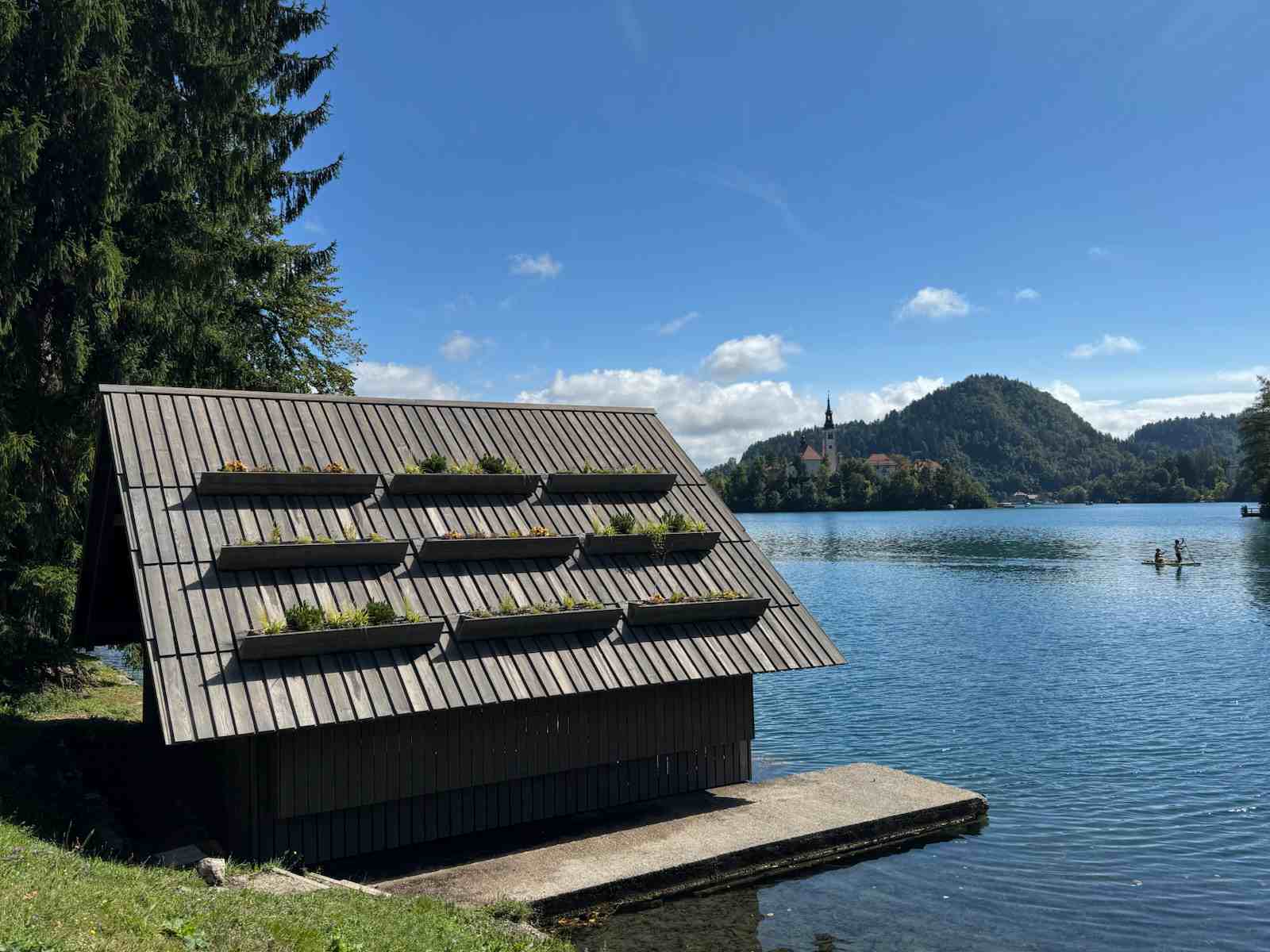 Karboniziran les kot most med starim znanjem in sodobno estetiko