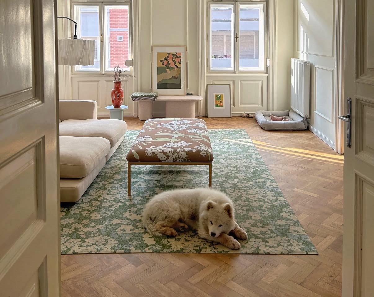 Dom s staro dušo za mlade ljudi