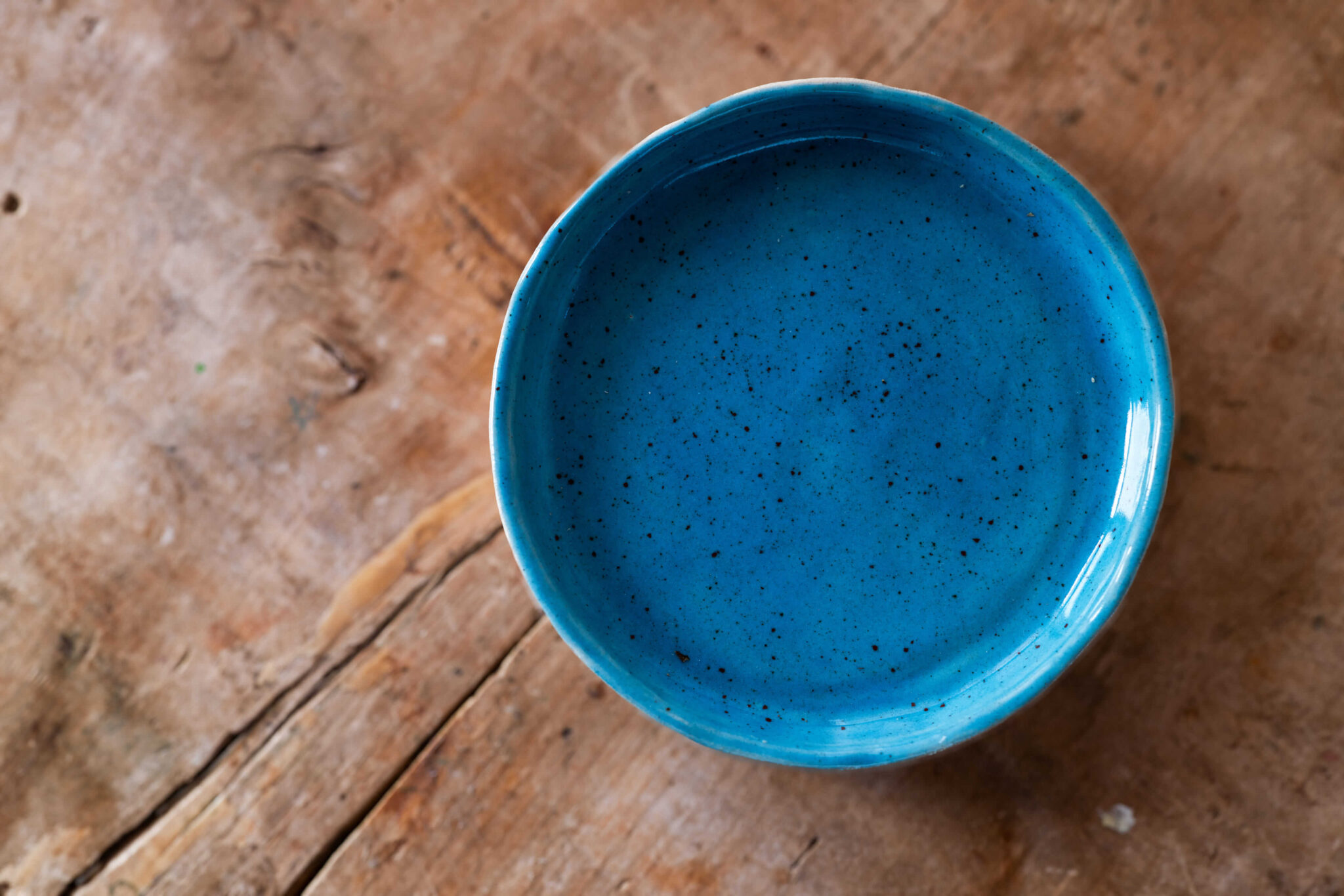 Darja Zupan: ustvarjanje in navdih izpod Karavank