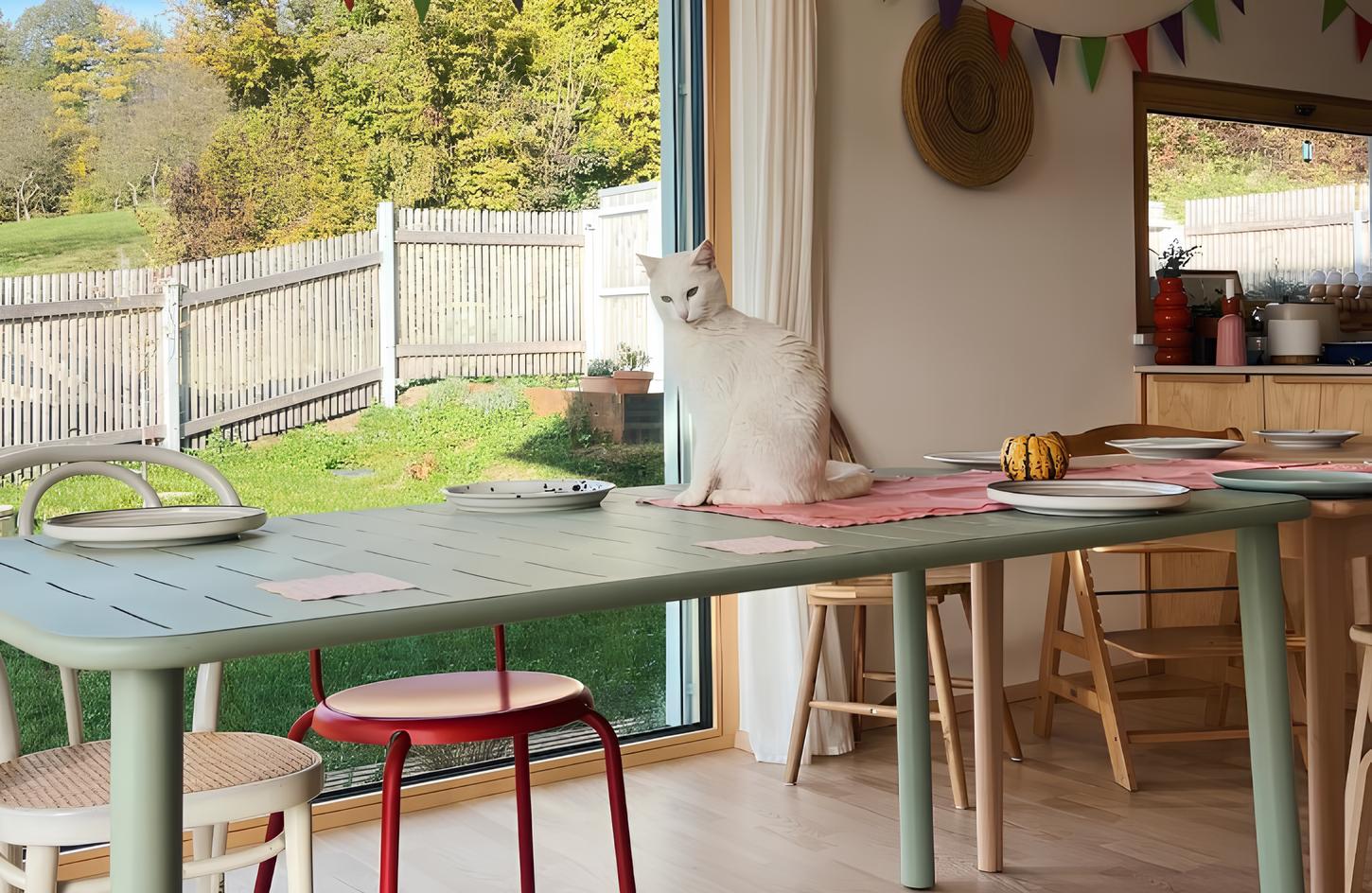 Huda lukna: dom mlade družine, ki kipi od srčnosti in iskrivosti