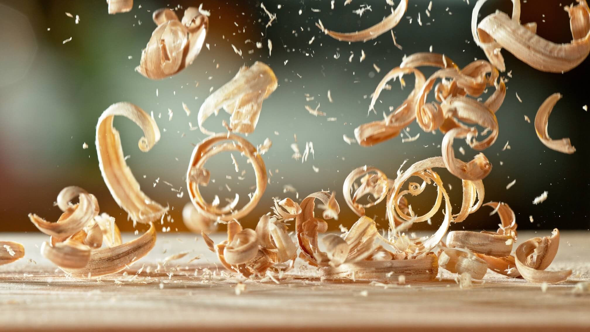 7. dan slovenskega lesarstva v znamenju medgeneracijskih izzivov