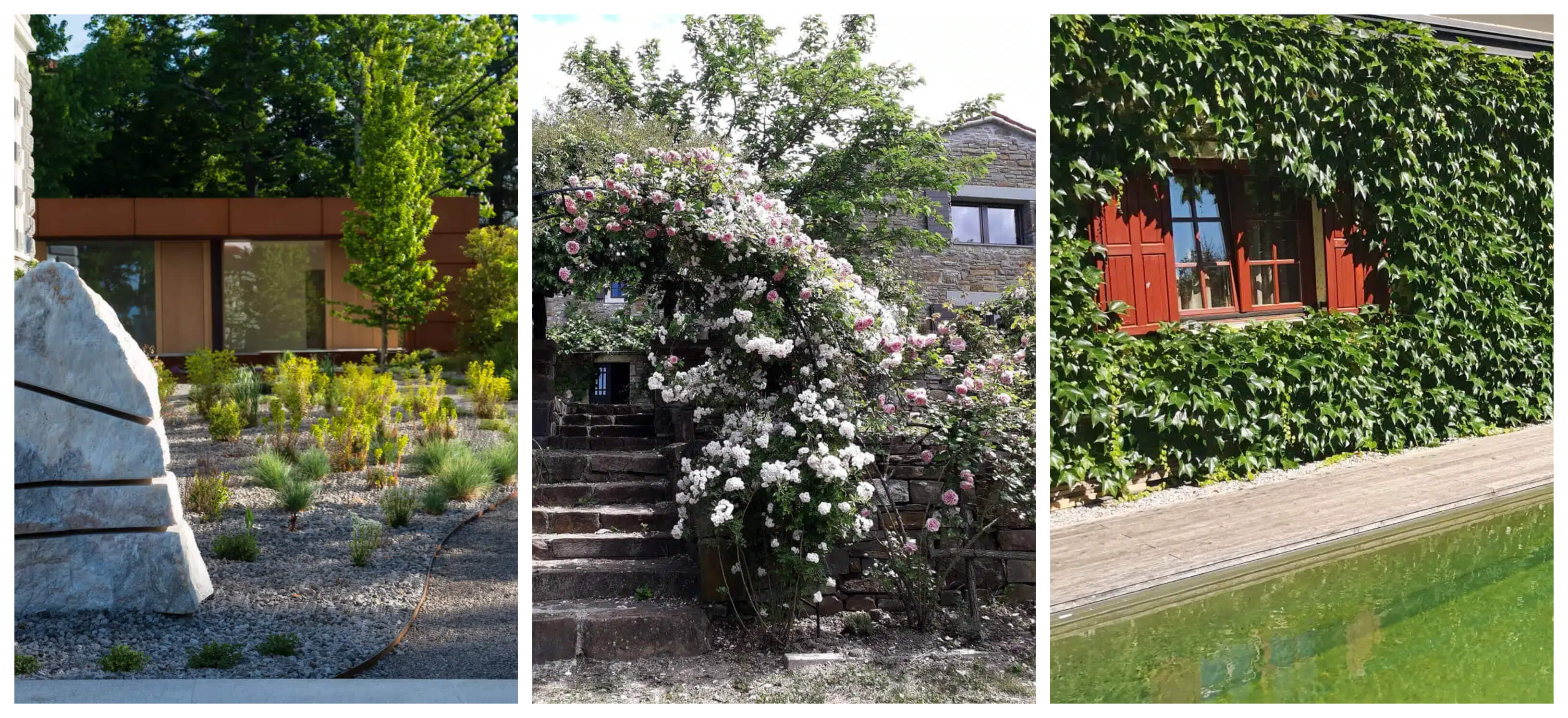 Izbor vrtov, ki navdušujejo z barvami in opojnimi vonji