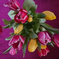 Tina Okoren, Maja Šušteršič