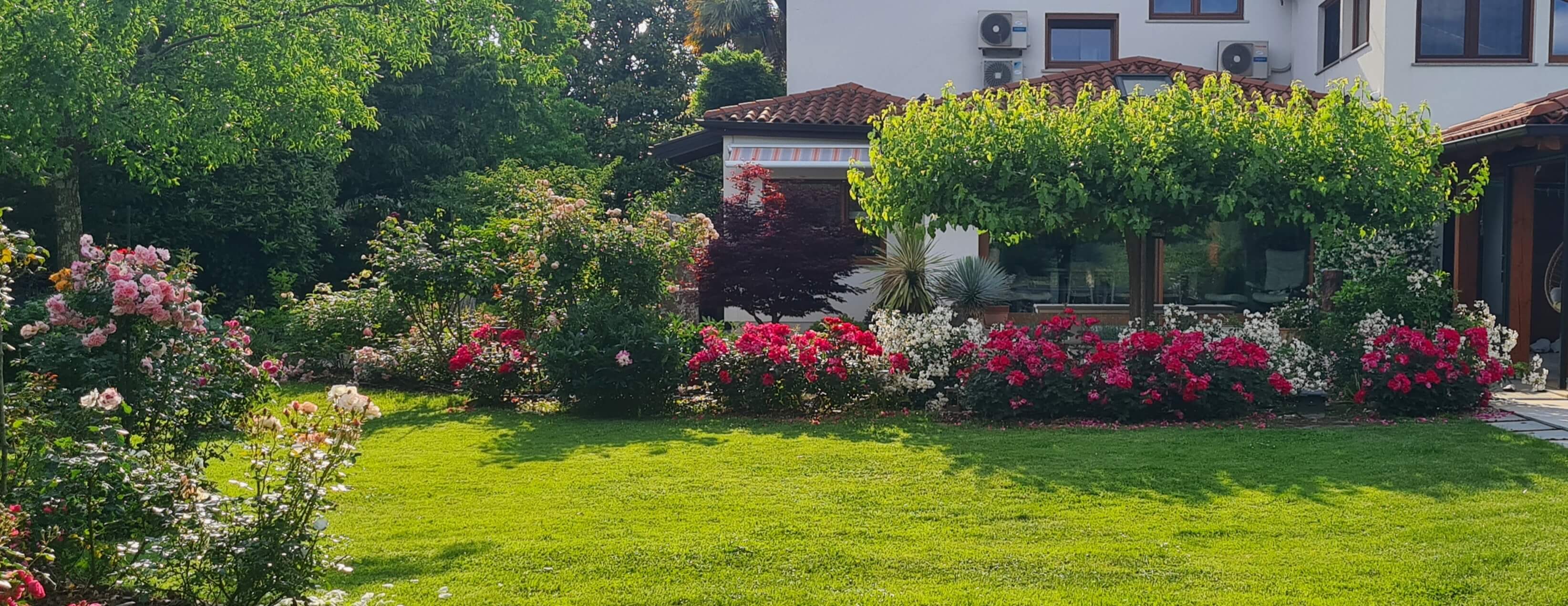 Vrt v vlogi zdravilca