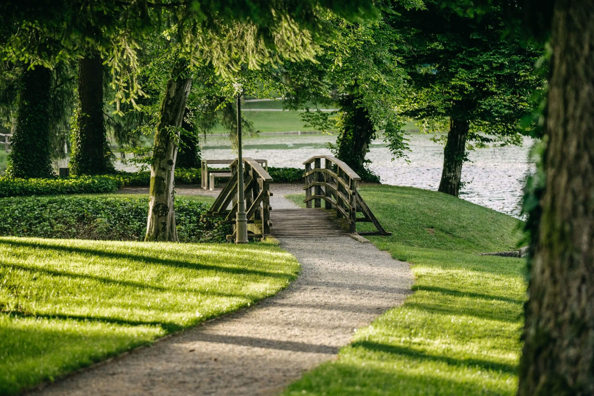 Park Brdo je poln življenja